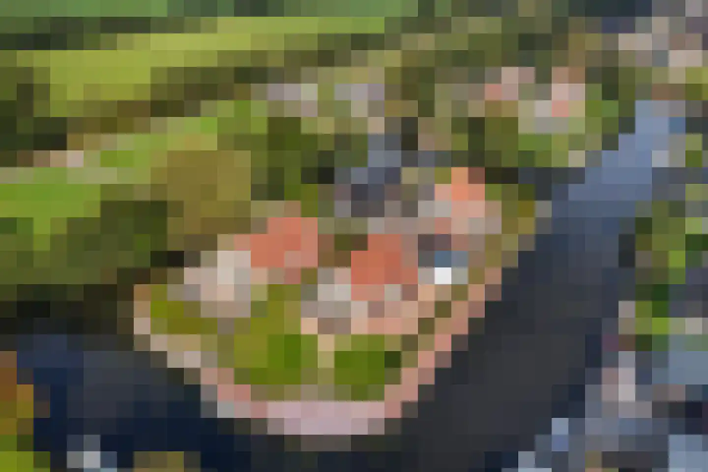 Foarwei 21 86 Aldwâld thumbnail 7