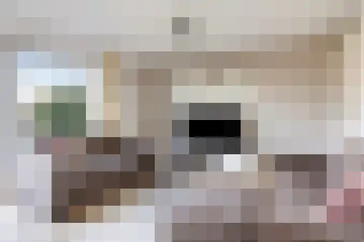 Foarwei 21 87 Aldwâld thumbnail 16
