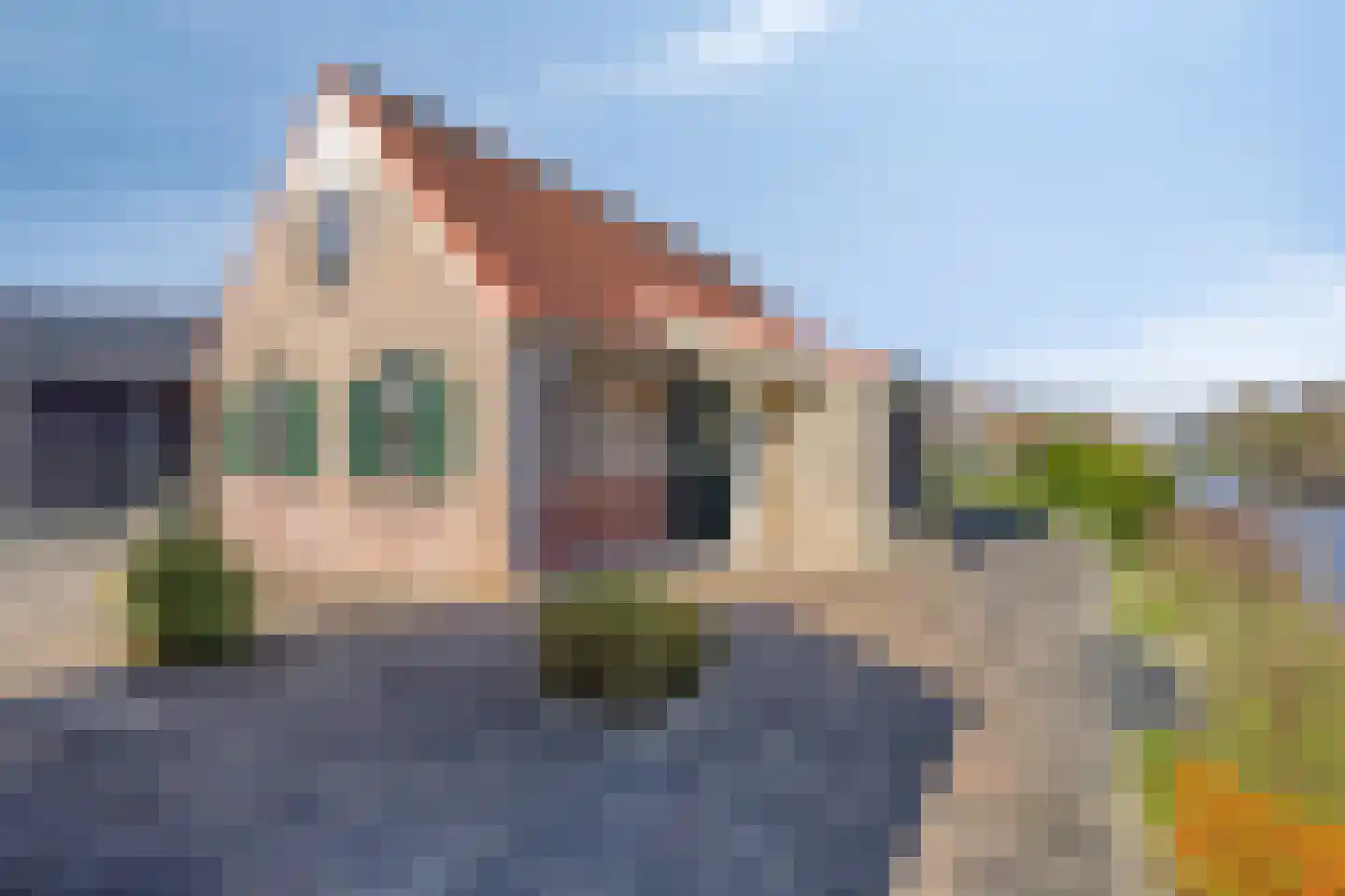 Foarwei 21 87 Aldwâld thumbnail 30