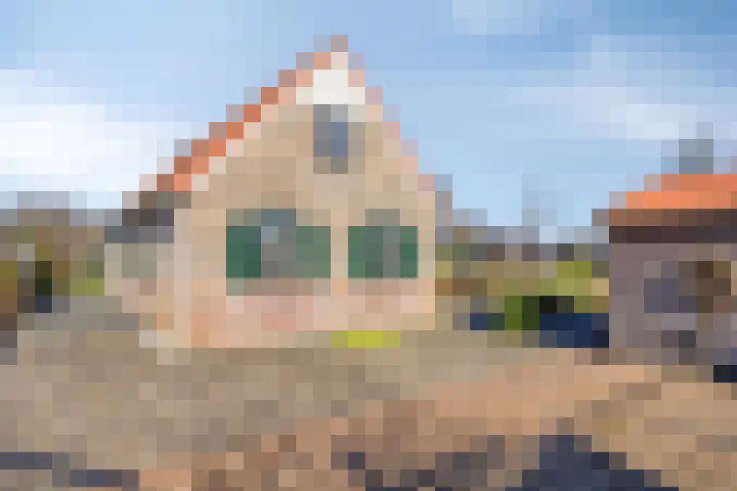 Foarwei 21 87 Aldwâld thumbnail 34