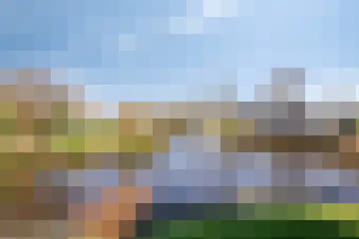 Foarwei 21 87 Aldwâld thumbnail 43