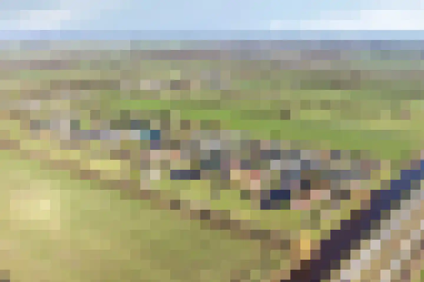 Foarwei 21 87 Aldwâld thumbnail 45