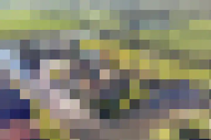 Foarwei 21 87 Aldwâld thumbnail 47