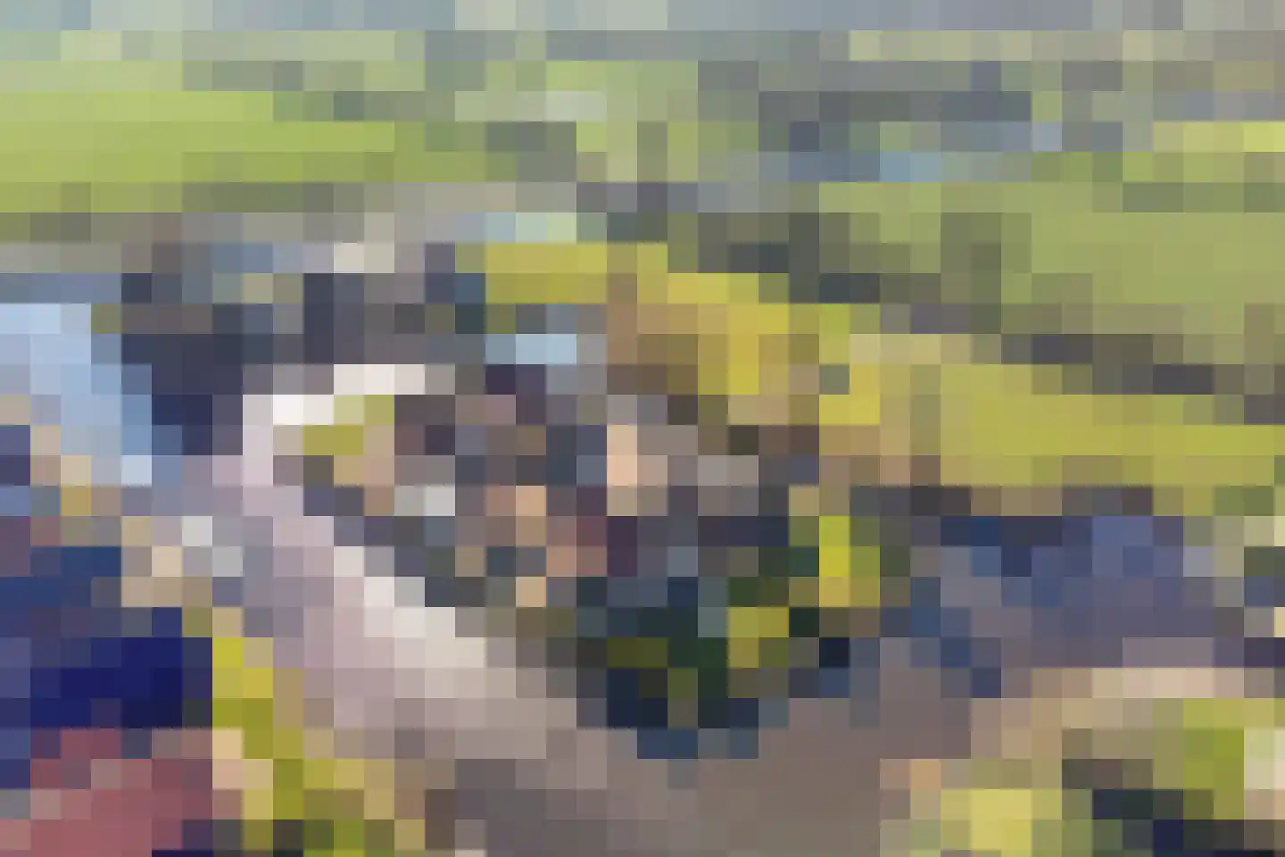 Foarwei 21 87 Aldwâld thumbnail 47