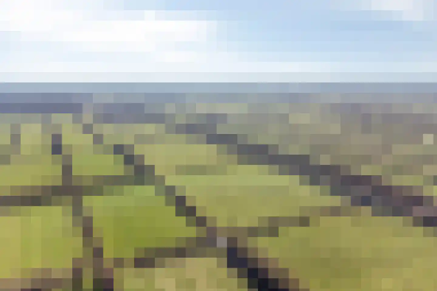 Foarwei 21 87 Aldwâld thumbnail 49