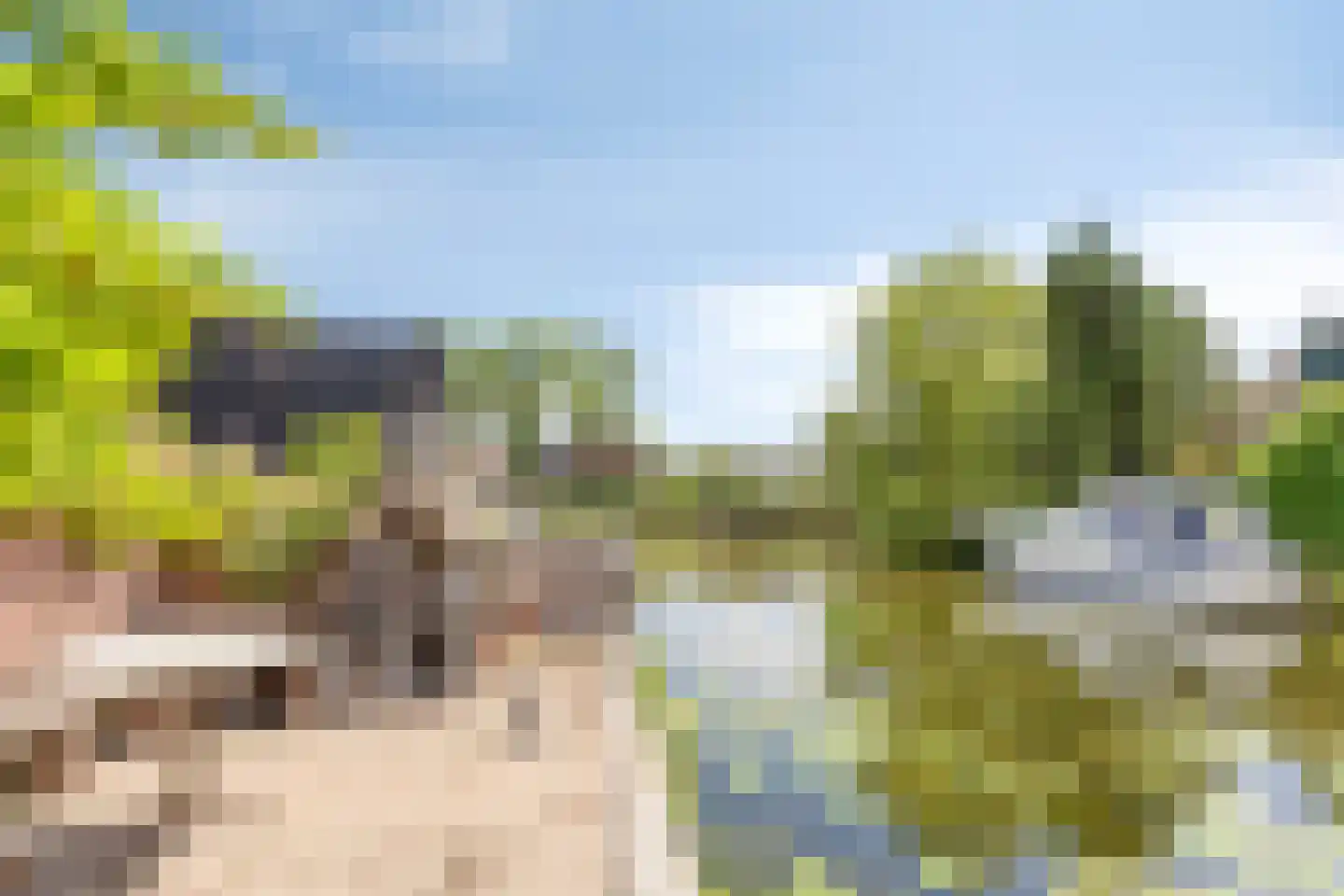 Foarwei 21 89 Aldwâld thumbnail 13