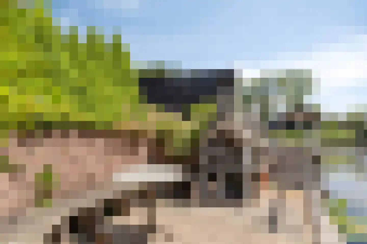 Foarwei 21 89 Aldwâld thumbnail 14