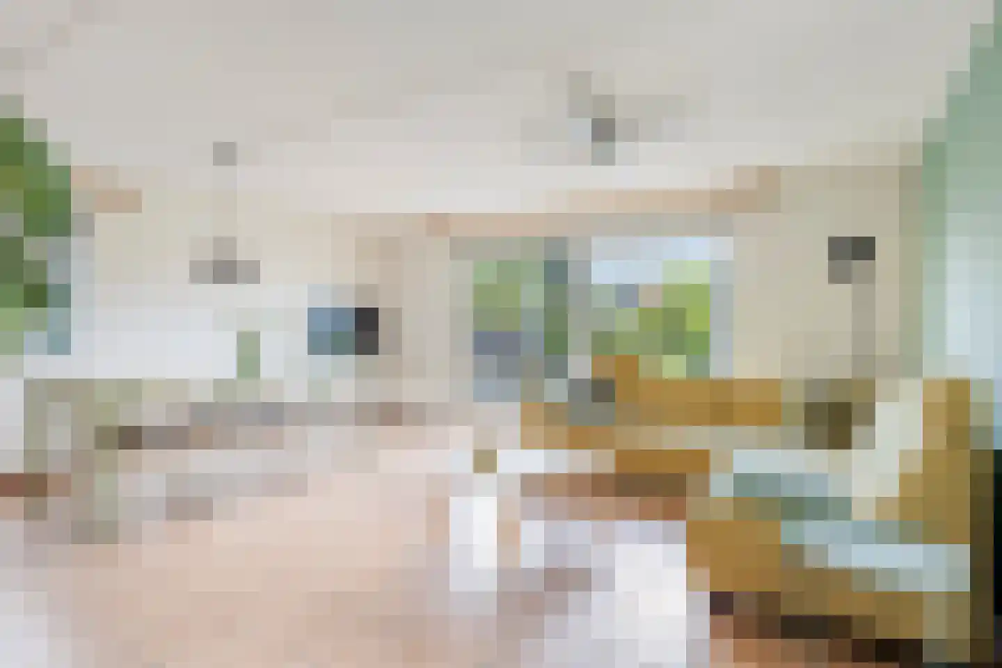 Foarwei 21 89 Aldwâld thumbnail 22