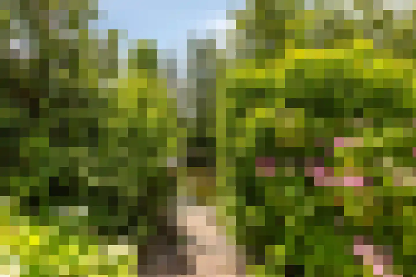 Foarwei 21 89 Aldwâld thumbnail 39