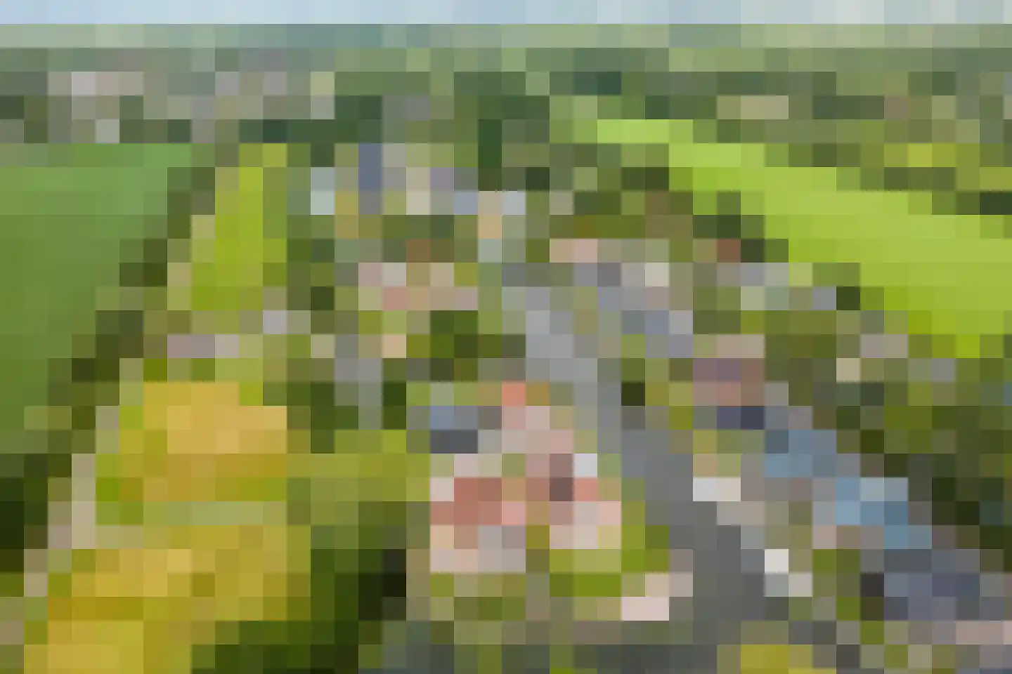 Foarwei 21 89 Aldwâld thumbnail 4