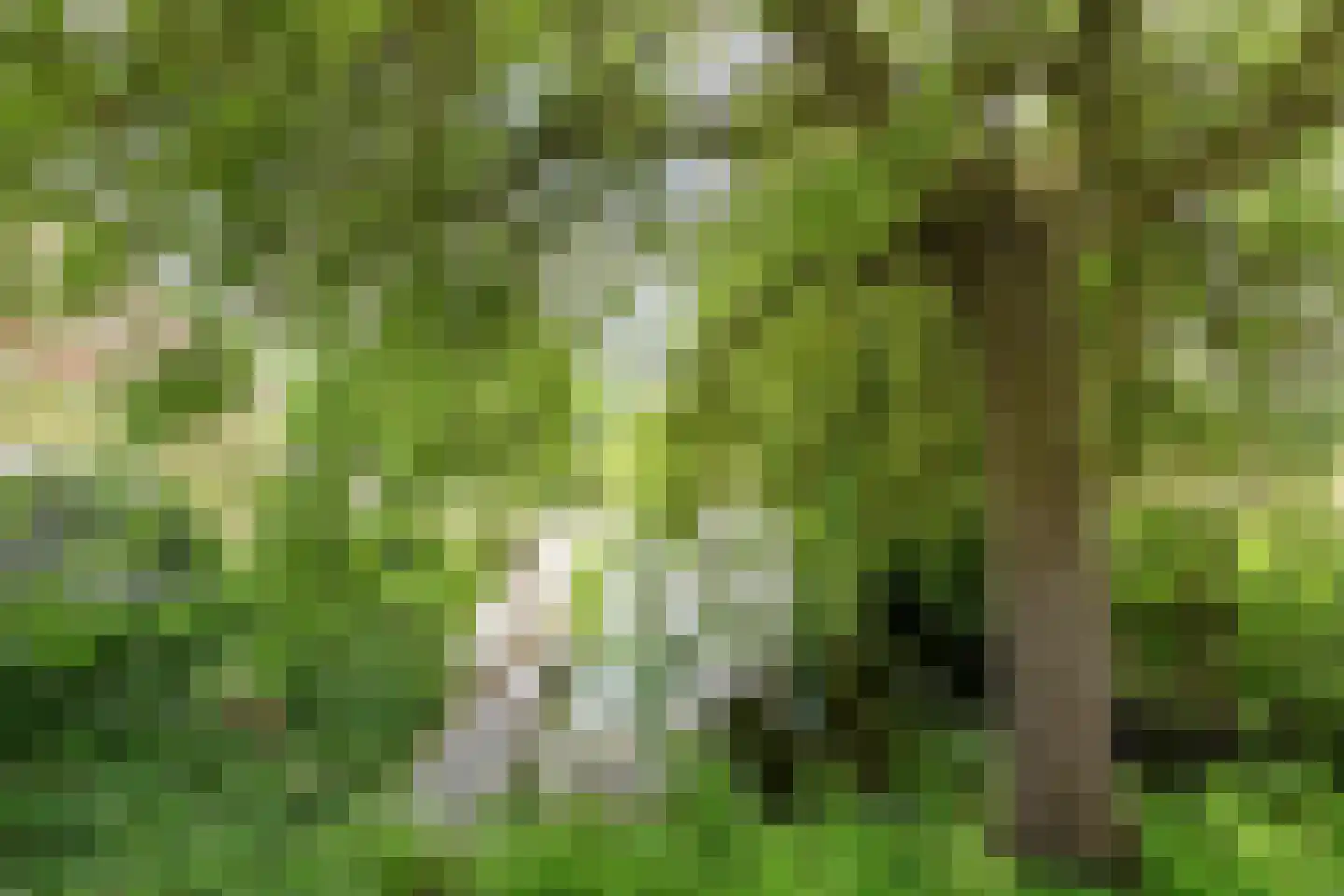 Foarwei 21 89 Aldwâld thumbnail 40