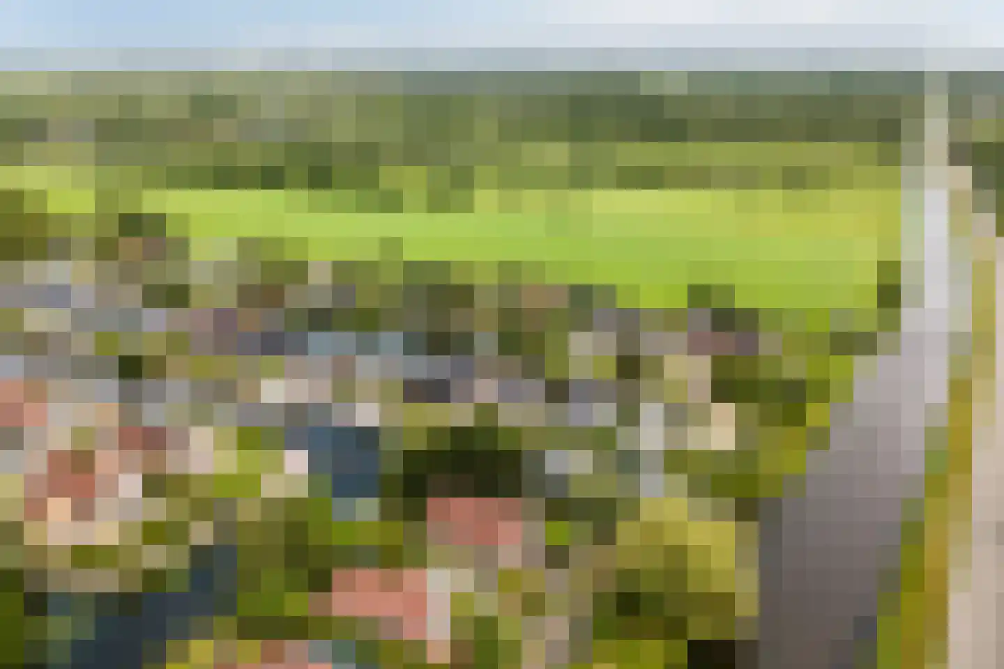 Foarwei 21 89 Aldwâld thumbnail 41