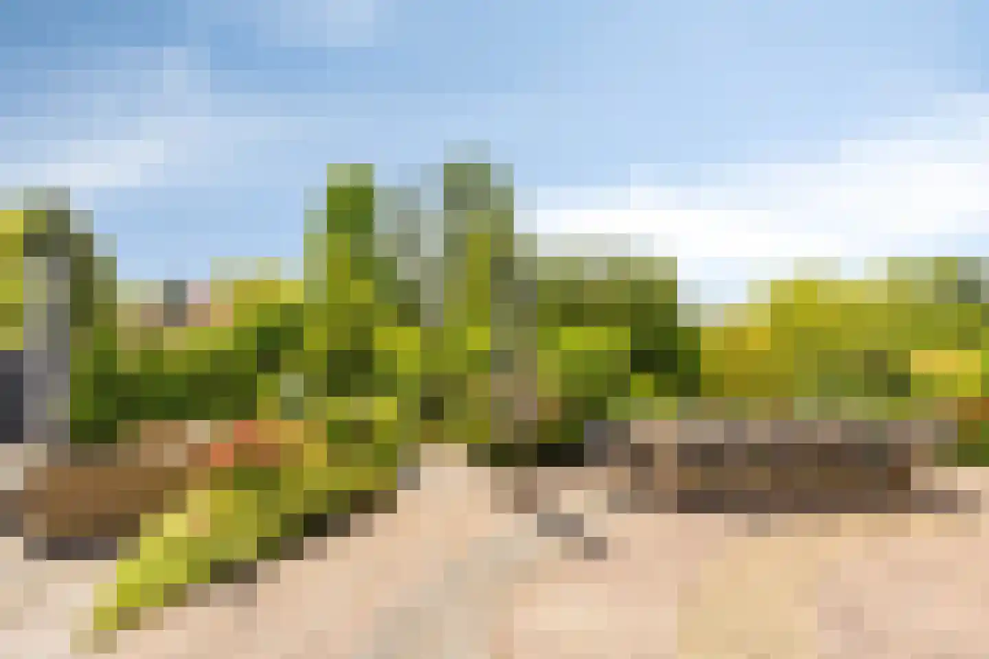 Foarwei 21 89 Aldwâld thumbnail 7