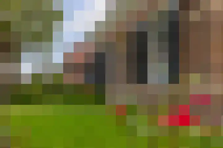 Foarwei 26 Kollumersweach thumbnail 10
