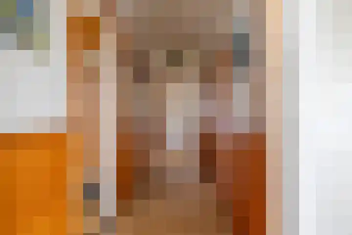 Foarwei 26 Kollumersweach thumbnail 12