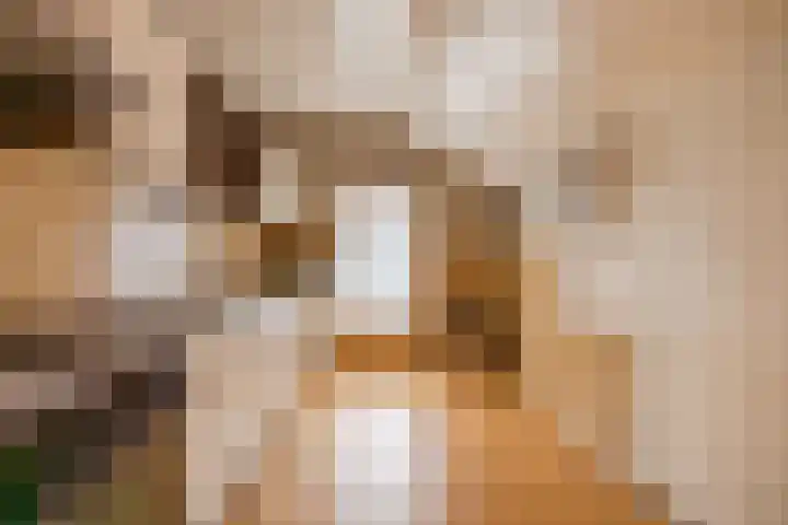 Foarwei 26 Kollumersweach thumbnail 19