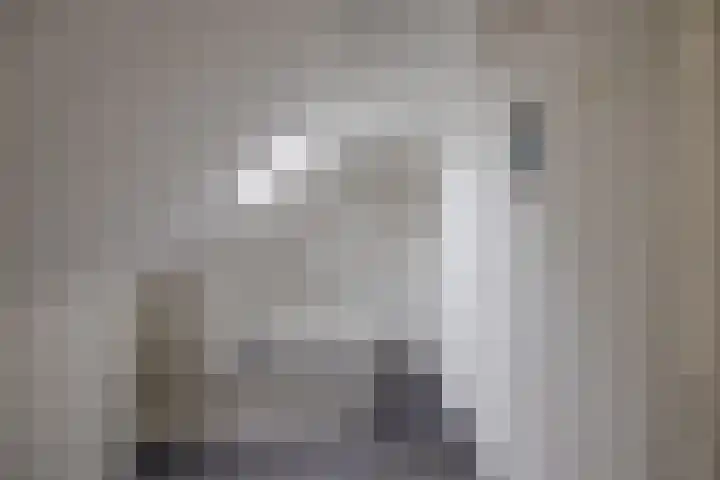 Foarwei 26 Kollumersweach thumbnail 28