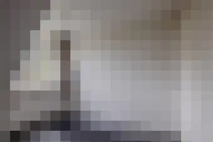 Foarwei 26 Kollumersweach thumbnail 30