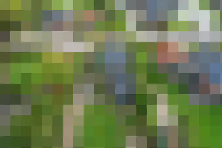 Foarwei 26 Kollumersweach thumbnail 36