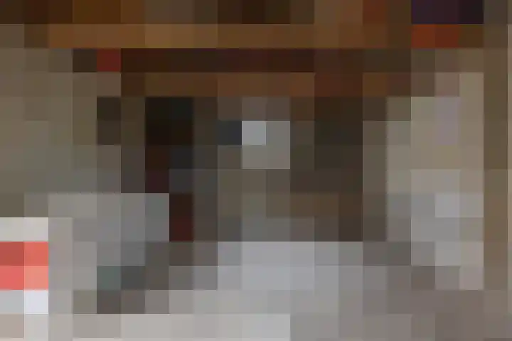 Foarwei 26 Kollumersweach thumbnail 40