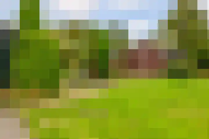 Foarwei 26 Kollumersweach thumbnail 42