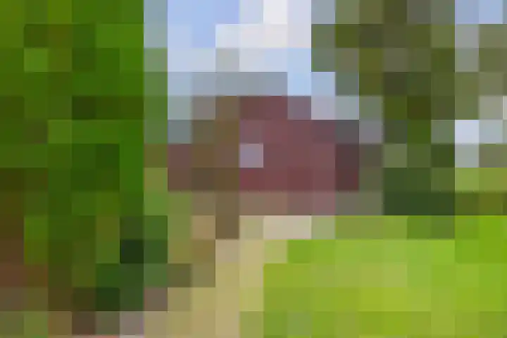 Foarwei 26 Kollumersweach thumbnail 43