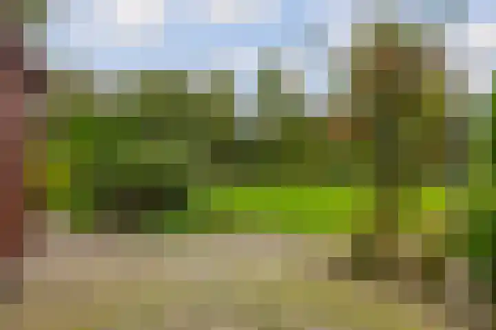Foarwei 26 Kollumersweach thumbnail 44