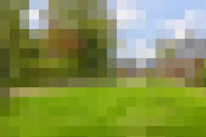 Foarwei 26 Kollumersweach thumbnail 48