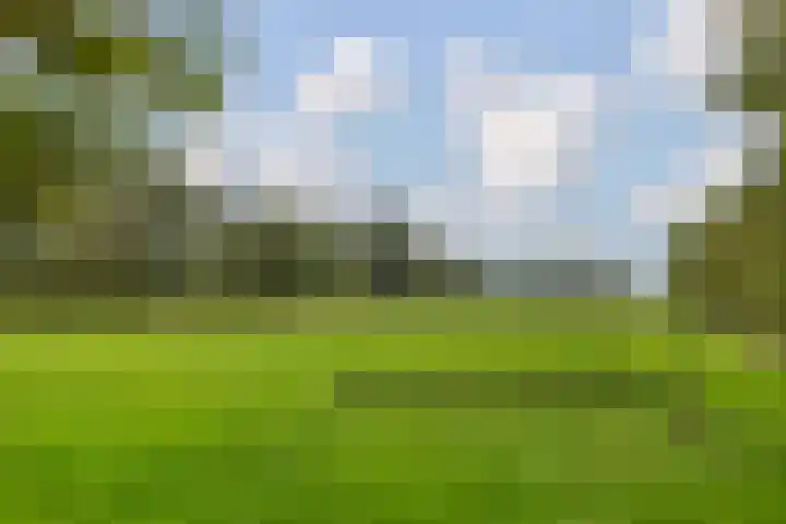 Foarwei 26 Kollumersweach thumbnail 49