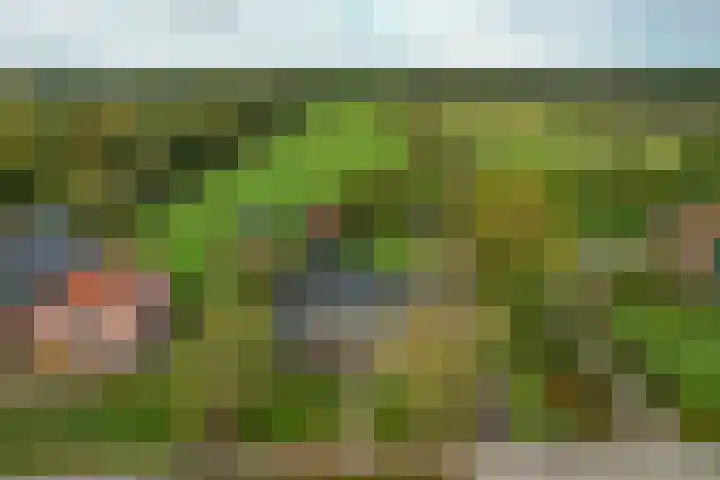 Foarwei 26 Kollumersweach thumbnail 5