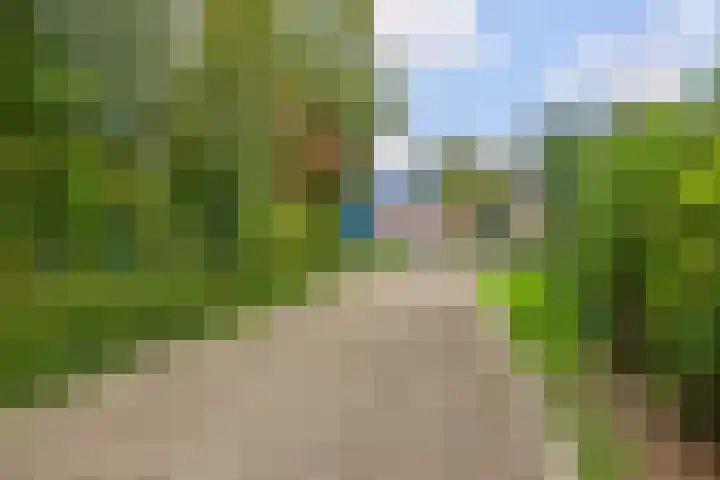 Foarwei 26 Kollumersweach thumbnail 51