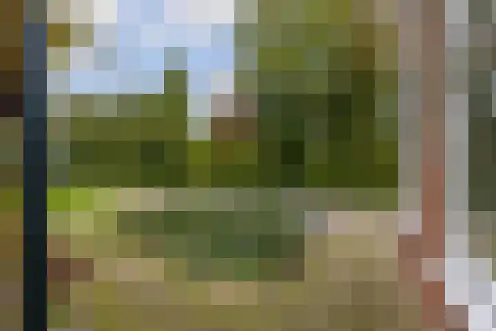 Foarwei 26 Kollumersweach thumbnail 52
