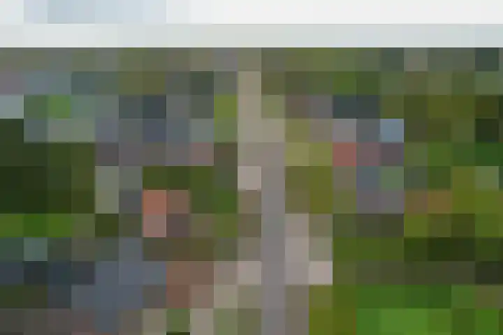 Foarwei 26 Kollumersweach thumbnail 53
