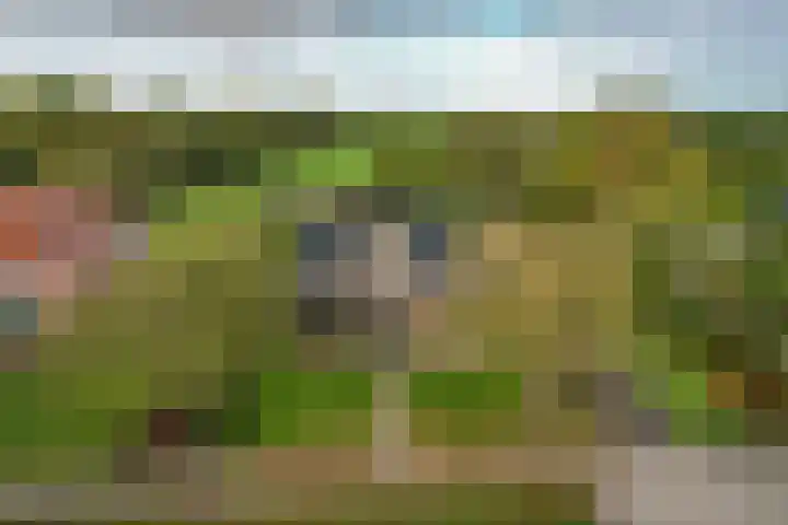 Foarwei 26 Kollumersweach thumbnail 6