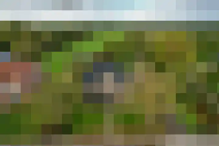 Foarwei 26 Kollumersweach thumbnail 7