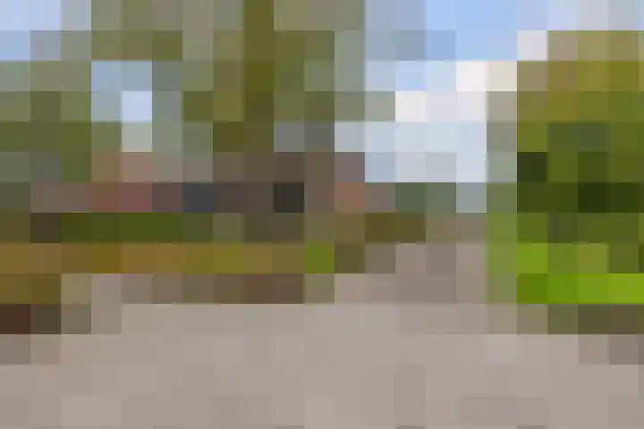 Foarwei 26 Kollumersweach thumbnail 9