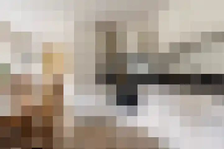 Foarwei 3 Kollumersweach thumbnail 25