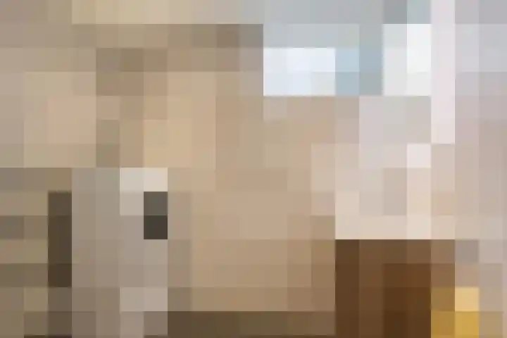 Foarwei 3 Kollumersweach thumbnail 31