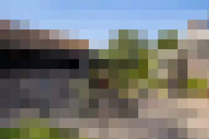 Foarwei 3 Kollumersweach thumbnail 44