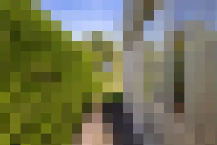 Foarwei 3 Kollumersweach thumbnail 46