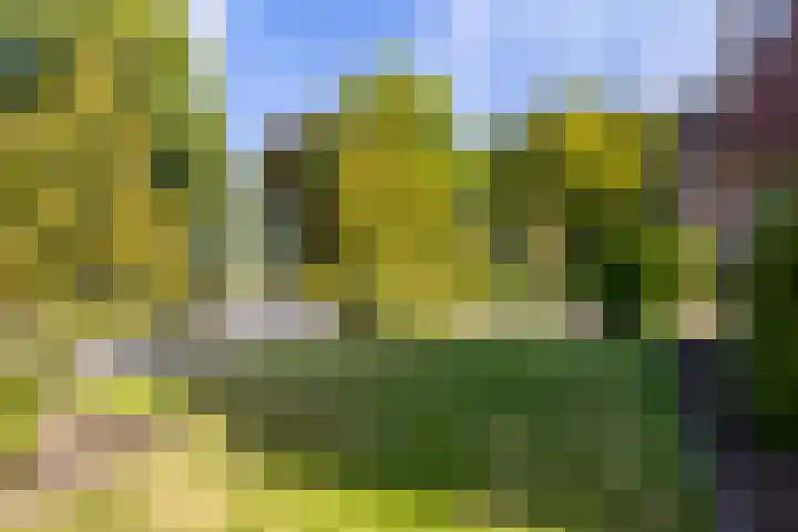 Foarwei 3 Kollumersweach thumbnail 49