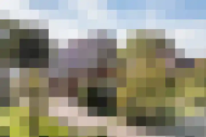 Foarwei 3 Kollumersweach thumbnail 7