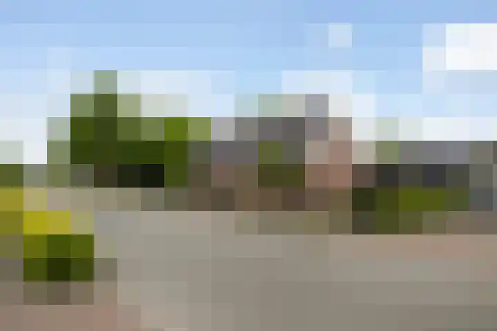 Foarwei 38 Wâlterswâld