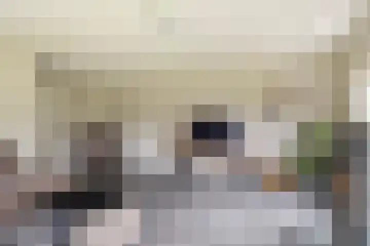 Foarwei 38 Wâlterswâld thumbnail 17