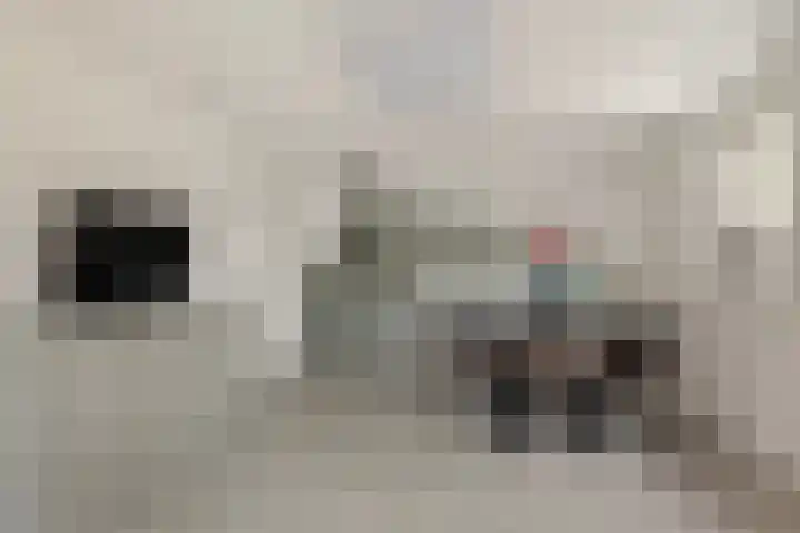 Foarwei 38 Wâlterswâld thumbnail 19