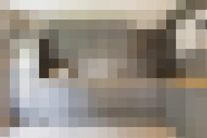 Foarwei 38 Wâlterswâld thumbnail 32