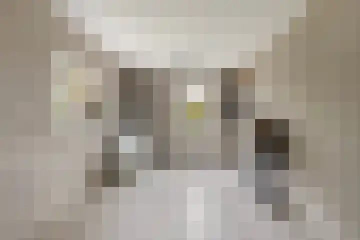 Foarwei 38 Wâlterswâld thumbnail 34