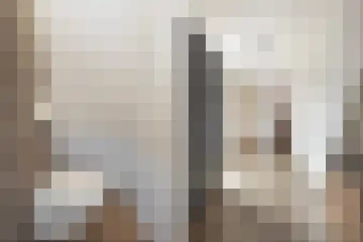 Foarwei 38 Wâlterswâld thumbnail 38