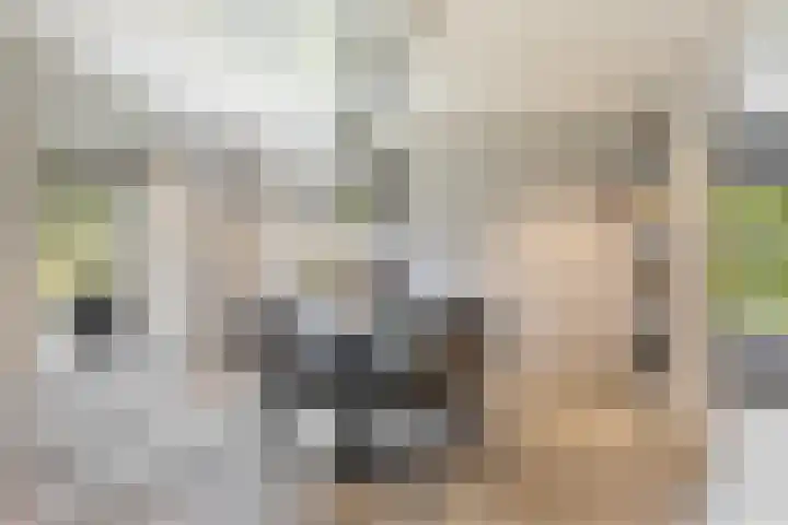 Foarwei 38 Wâlterswâld thumbnail 4