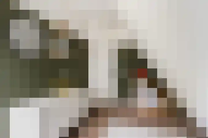 Foarwei 38 Wâlterswâld thumbnail 45